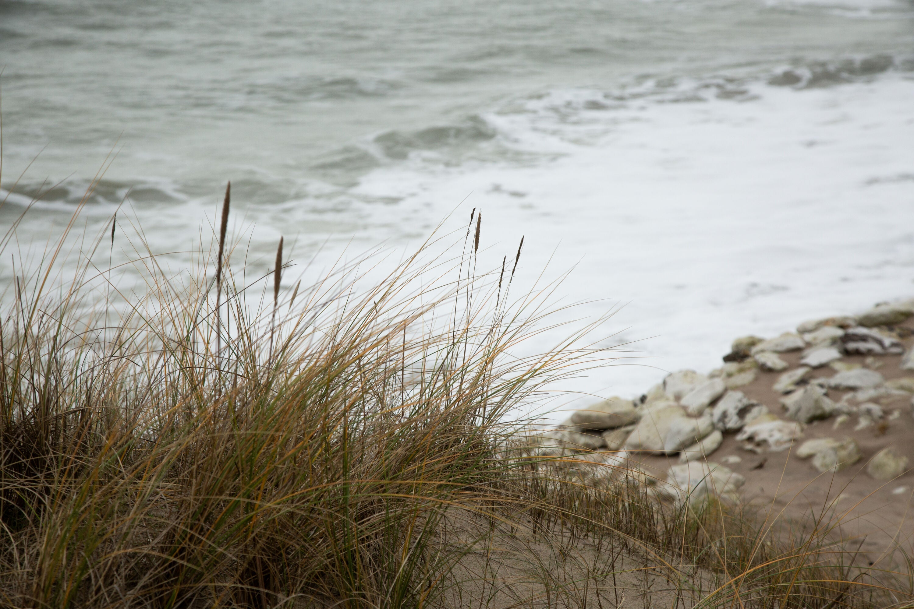 Strand i Thy